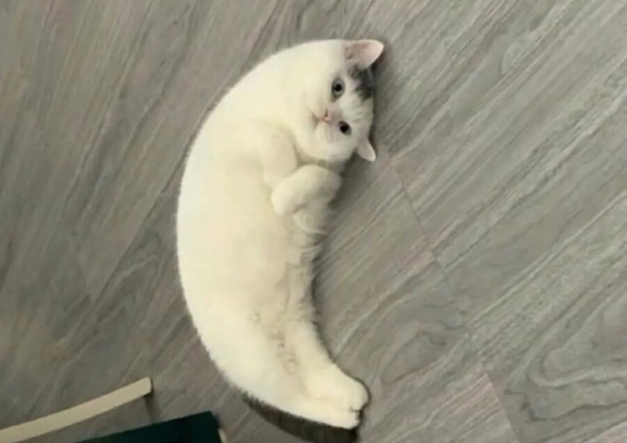 바나냥_1.jpg