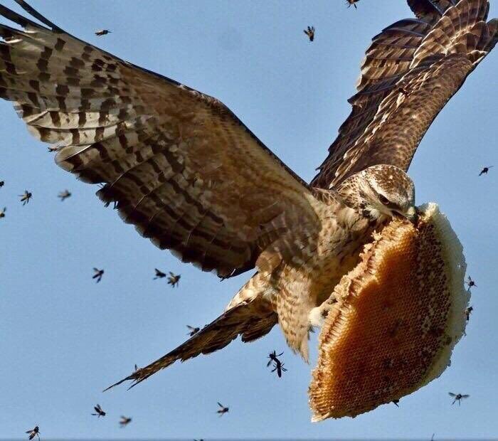매형이 집뺏어감..._1.jpg