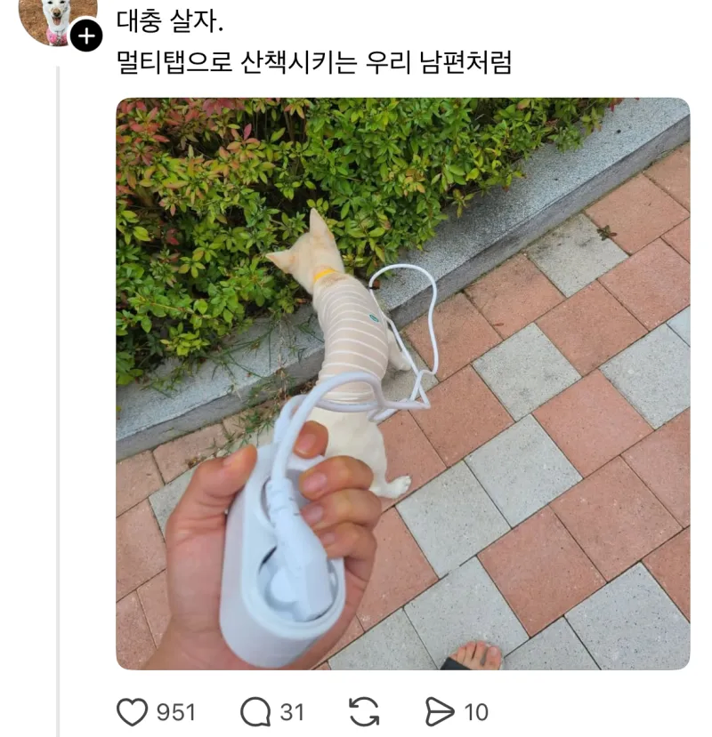 대충 사는 사람들_2.webp