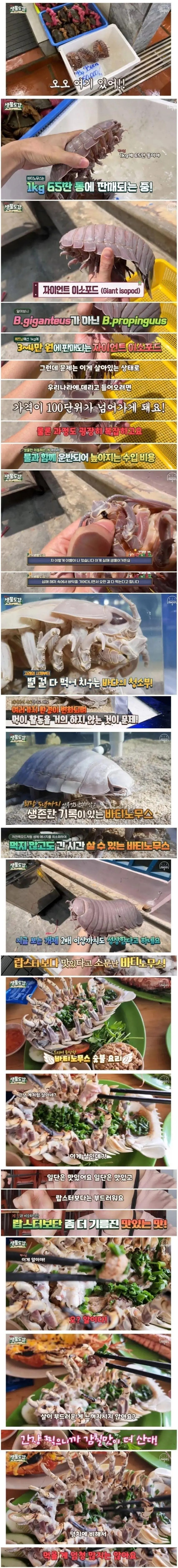 (약혐) 대만, 베트남등에서 좋아하는 갑각류_1.jpg