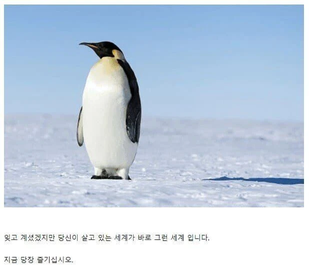 서로 좋아하면 ㅅㅅ가 가능한 세계.JPG_1.webp