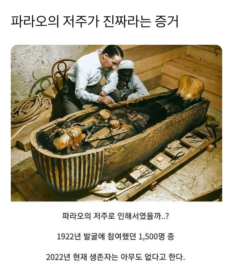 이집트 파라오 무덤에 들어가면 안되는 이유_1.jpg