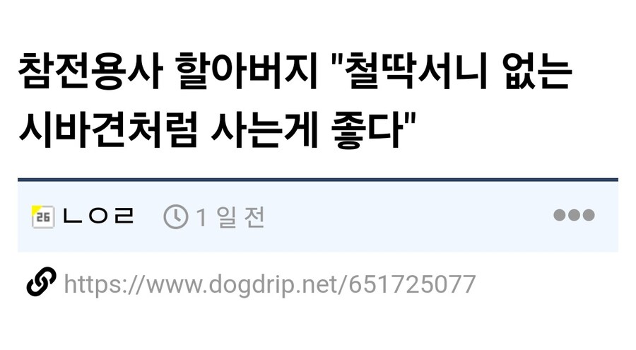 새롭게 만들어진 시바견 밈.jpg_2.jpg