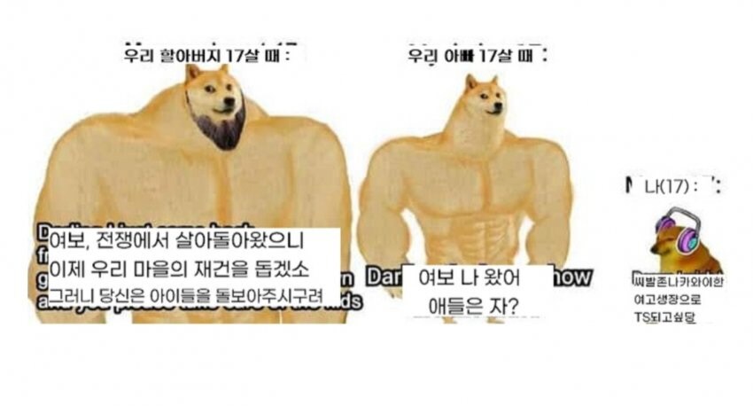 새롭게 만들어진 시바견 밈.jpg_4.jpg
