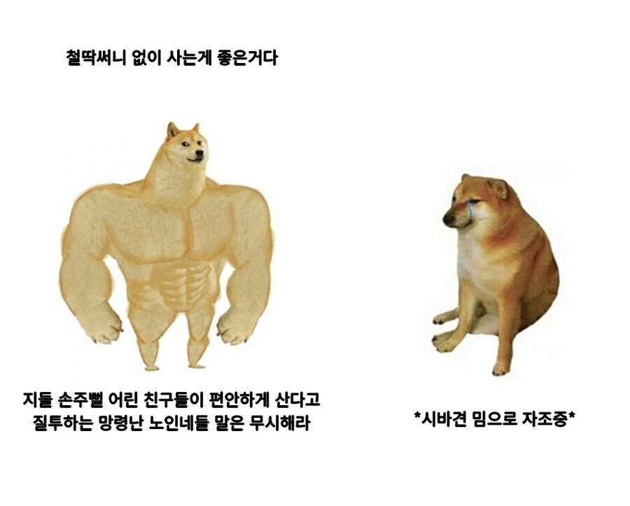 철없이 천천히 늙는게 당연히 좋지_1.jpg