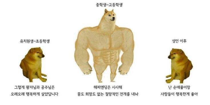 좋아하는 시바견짤_1.jpg