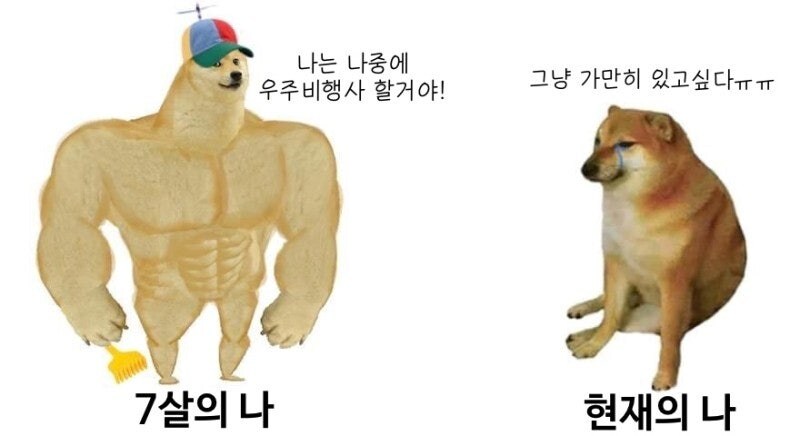 좋아하는 시바견짤_2.jpg