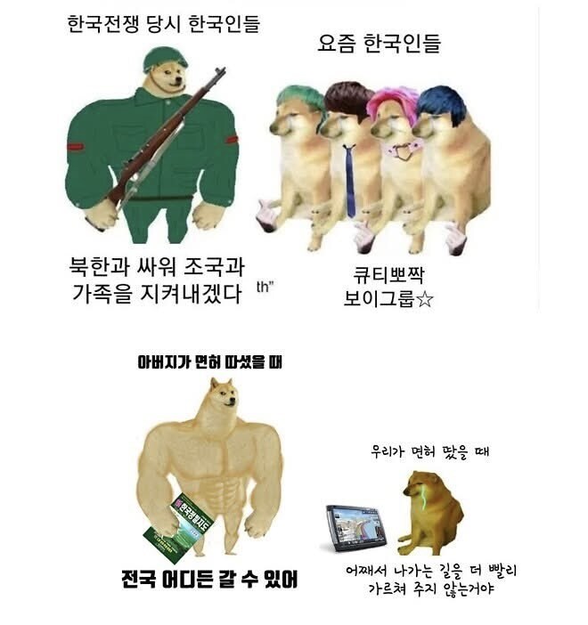 어르신께 시바견밈을 보여드렸다_1.jpg