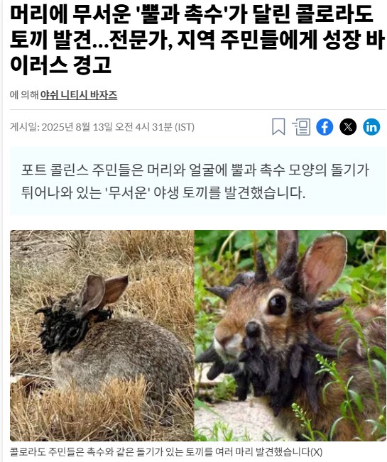 머리에 무서운