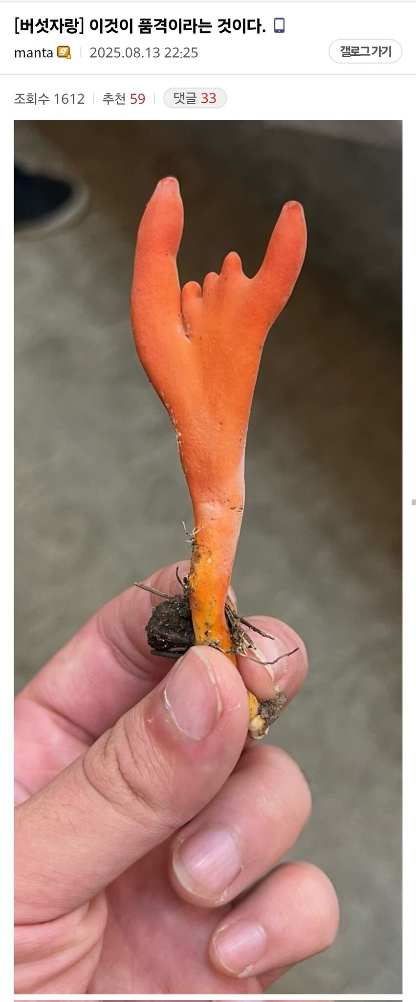 디시 버섯 갤러리 주딱의 품격_1.png