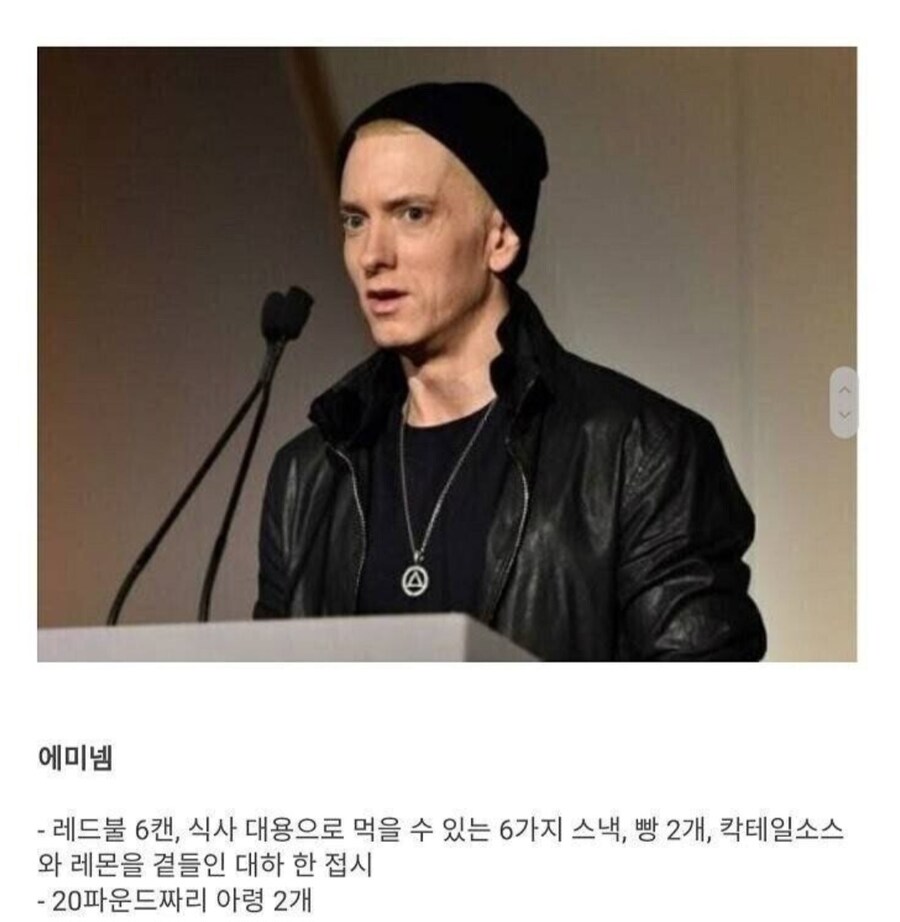 의외로 소소한 에미넴 공연 조건_2.jpg