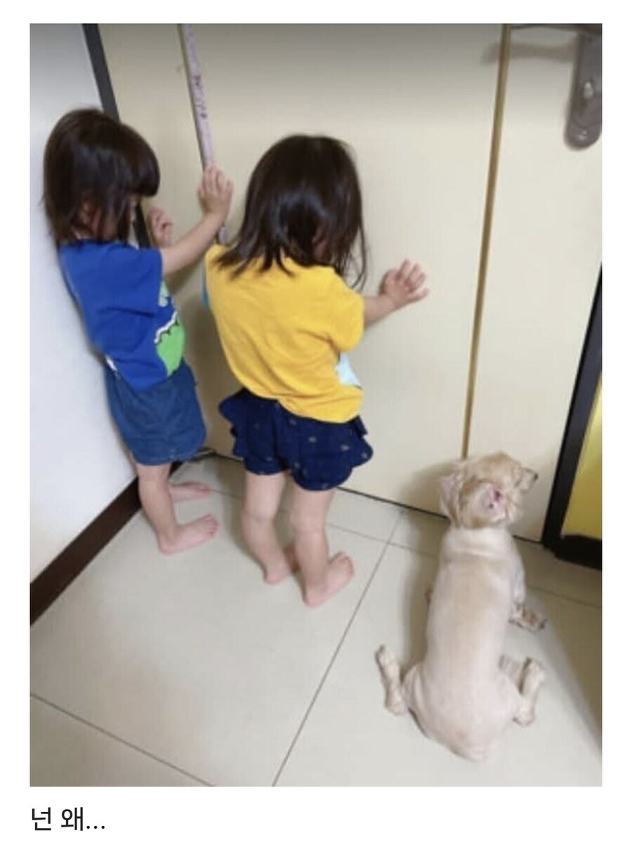 어휴, 우리 누님들 벌 서?_1.jpg