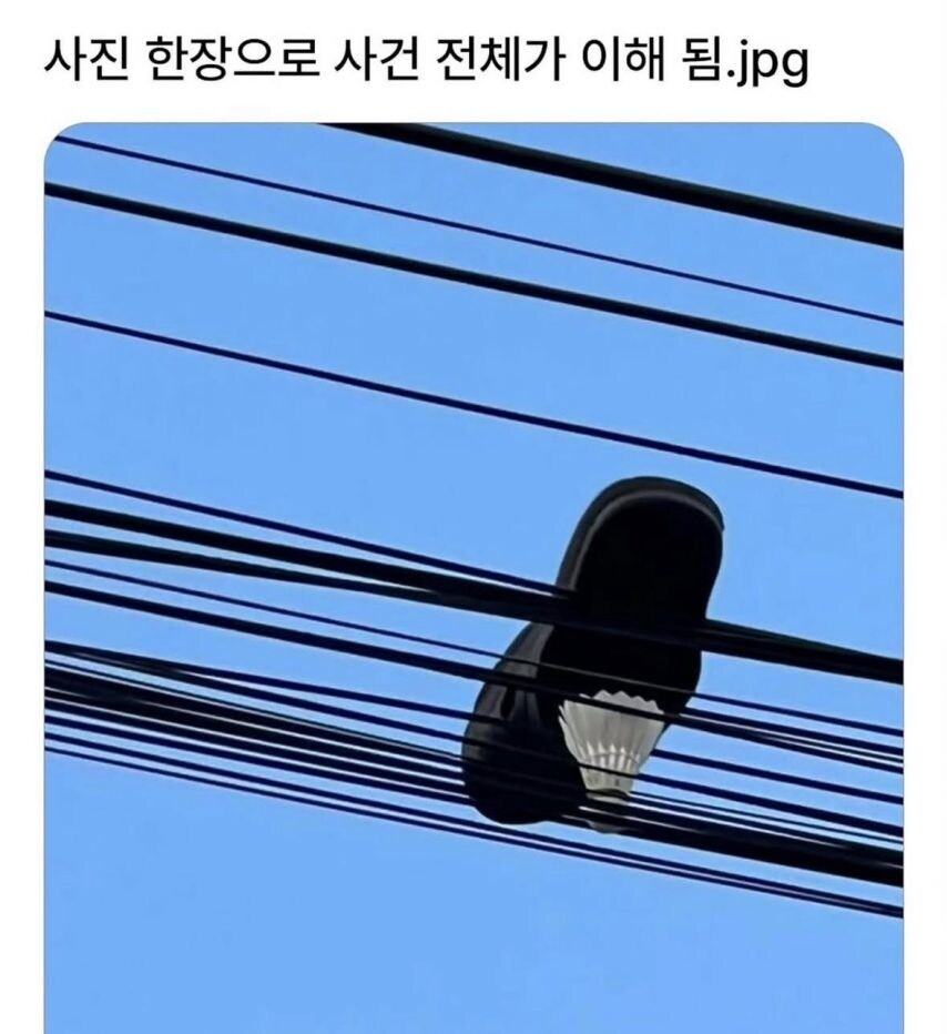 사진 한 장으로 사건 전체가 이해 됨_1.jpg