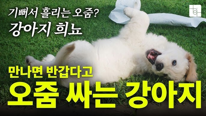 뇨라니 너무 야한거 아니냐_1.jpg