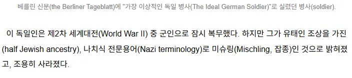 나치 피셜 잘생긴 아리아인 병사_2.webp