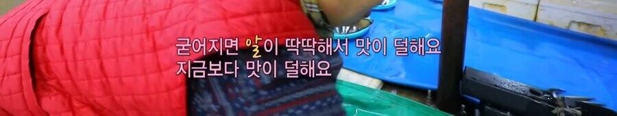 K 도루묵 맛보고 뿅 가버린 독일 사람 jpg._4.jpg