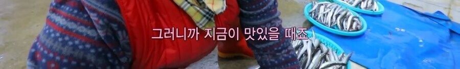 K 도루묵 맛보고 뿅 가버린 독일 사람 jpg._5.jpg