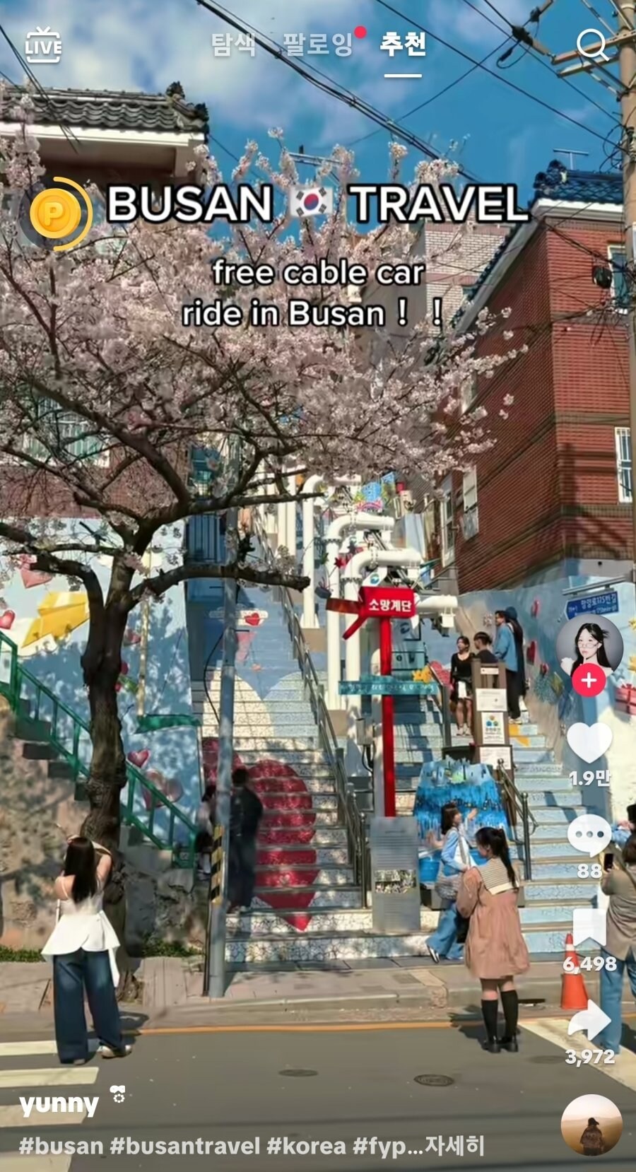 부산에 있다는 외국인들 핫스팟 jpg._4.jpg