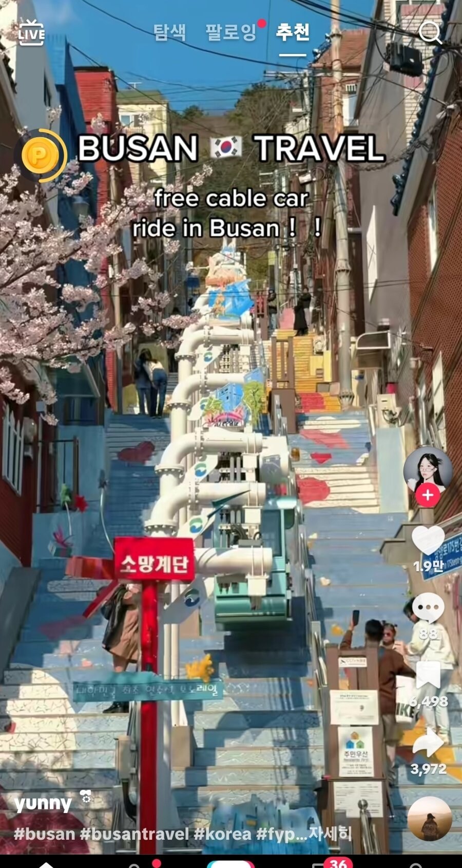 부산에 있다는 외국인들 핫스팟 jpg._5.jpg