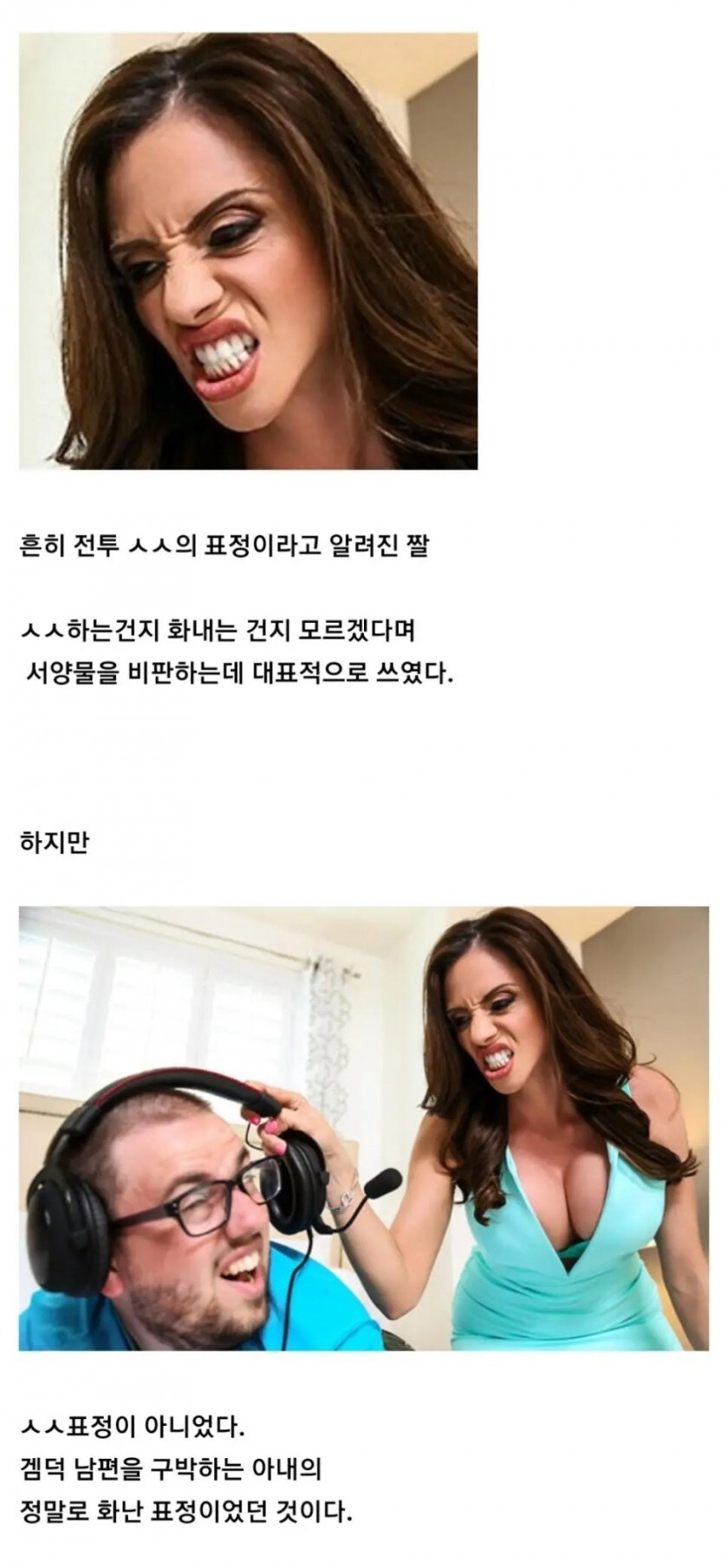 서양 전투 ㅅㅅ 짤의 진실_1.png