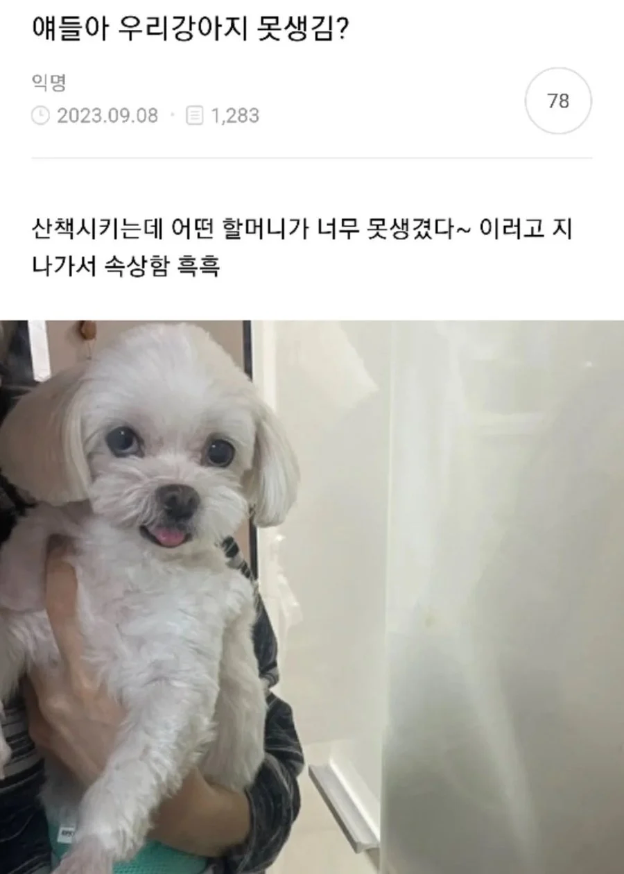 지나가는 할머니가 못생겼다고 함 ㅠ jpg._1.webp