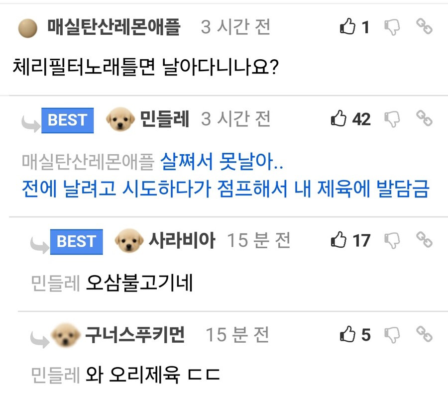 공원에서 야생 오리알 얻어서 부화시킴.jpg_12.jpg