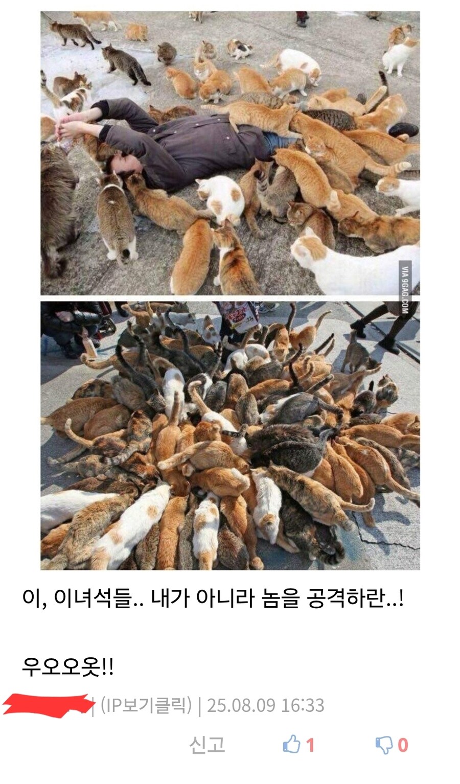 짐승을 부리는 타입의 악당의 최후.jpg_2.jpg