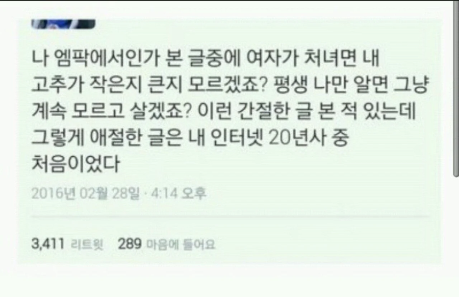 간절하고 애절한 처녀충의 글_1.webp