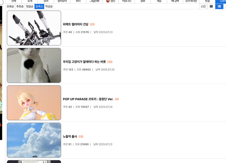 오른쪽 갔던 우리집 고양이 보고 가셈_1.jpg