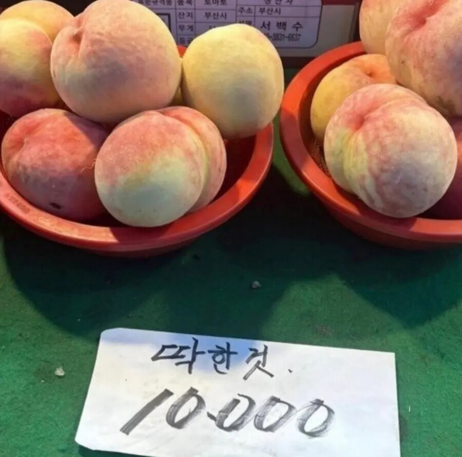 기묘한 과일가게 판매물품명_1.jpg