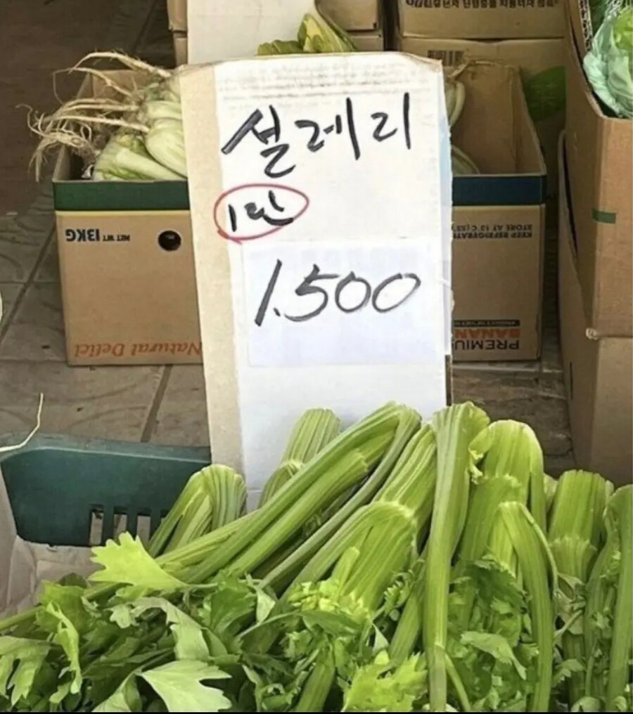 기묘한 과일가게 판매물품명_6.jpg