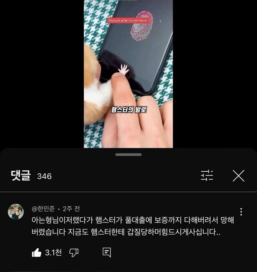 보안을 위해 햄스터에게 지문 인식을 시킨 사람_1.png