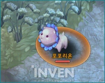 의외로 사람들이 모르는 사람아니야 콘의 유래._3.jpg