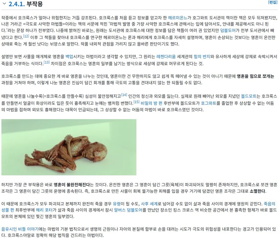 해리포터) 호크룩스의 위험성을 짧고 명료하게 설명하기_1.jpg