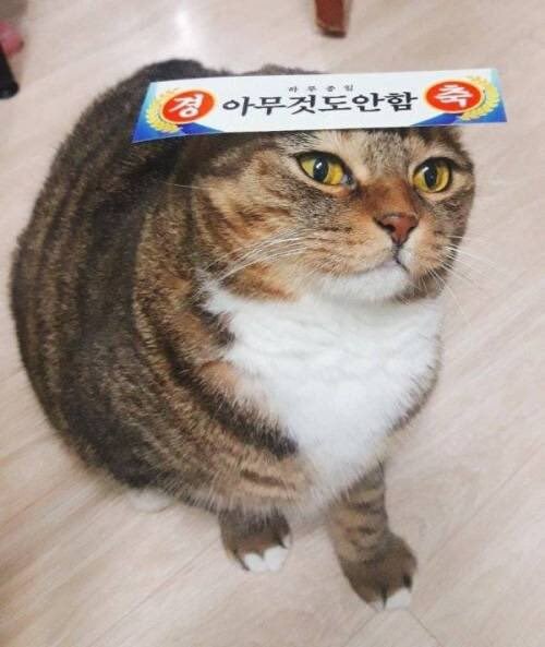 Ai)귀여운 거 피규어화_3.jpg