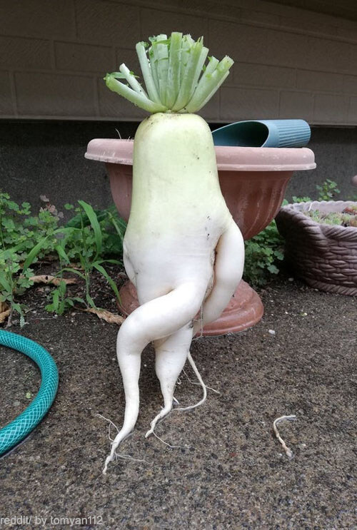 사실 나도 무신론자임_1.jpg
