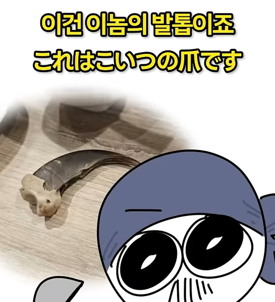 한국에선 불법인데 일본에선 합법인 식재료_13.jpg