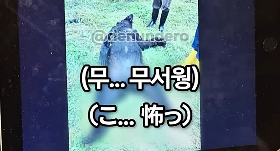 한국에선 불법인데 일본에선 합법인 식재료_14.jpg