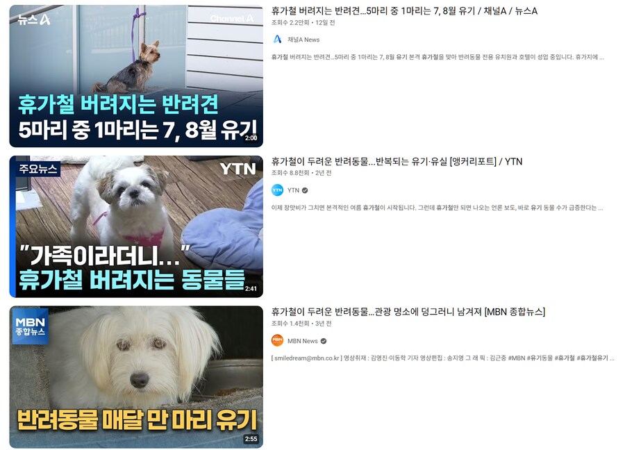 관광지에 사는 사람이 휴가철만 되면 본다는 끔찍한 광경_2.png