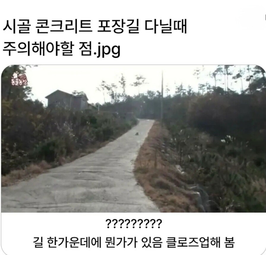 시골 포장길이 위험한 이유_1.jpg