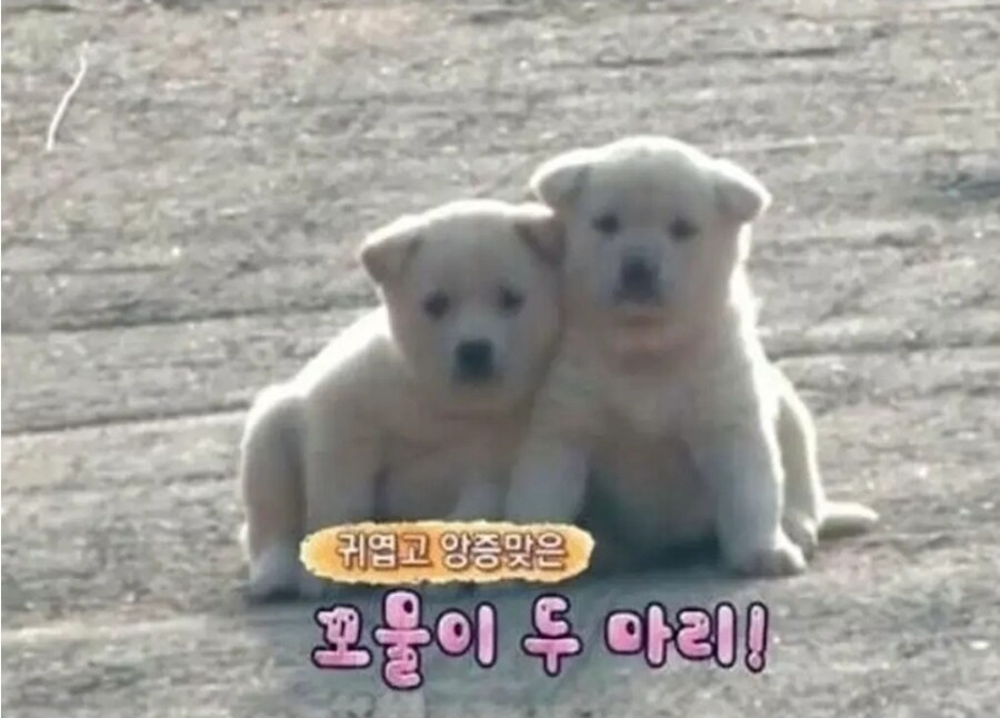 시골 포장길이 위험한 이유_4.jpg