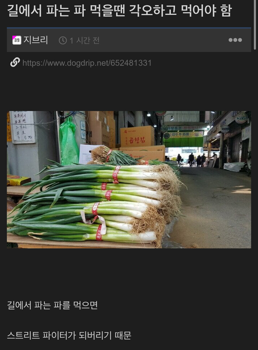 길에서 파는 파 먹을땐 각오하고 먹어야 함_1.jpg