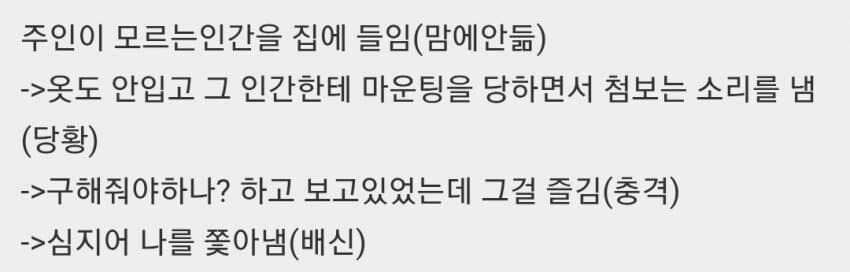 ㅅㅅ하는걸 보고 나서 개가 말을 안 들어요...jpg_2.jpg