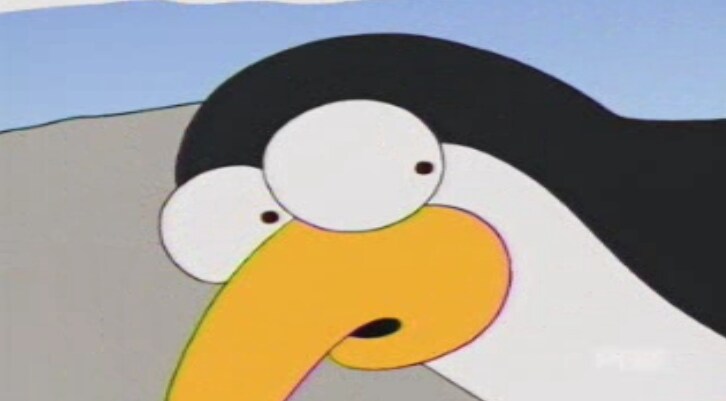 일반인들은 거의 모르는 펭귄의 비밀_6.png