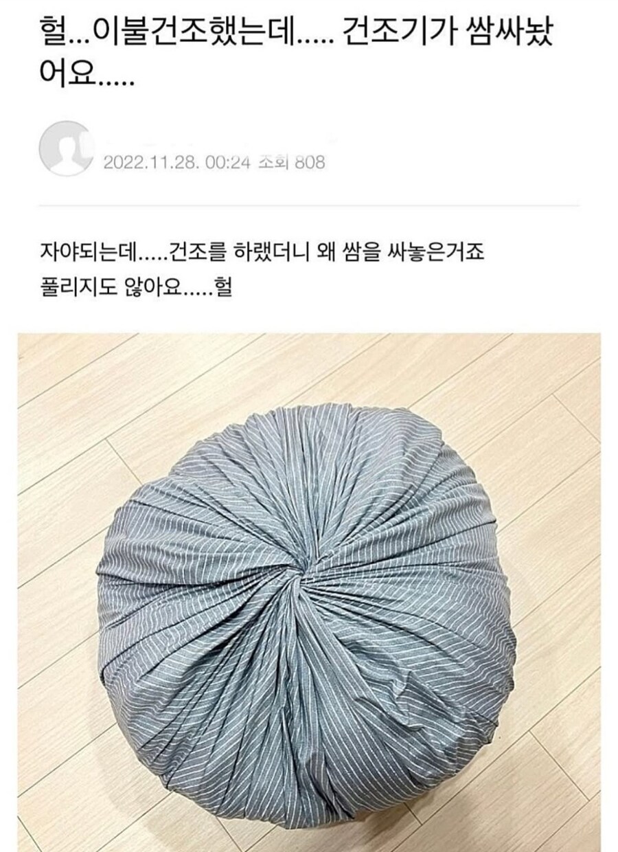 건조기가 빚어낸 만두.jpg_1.jpg