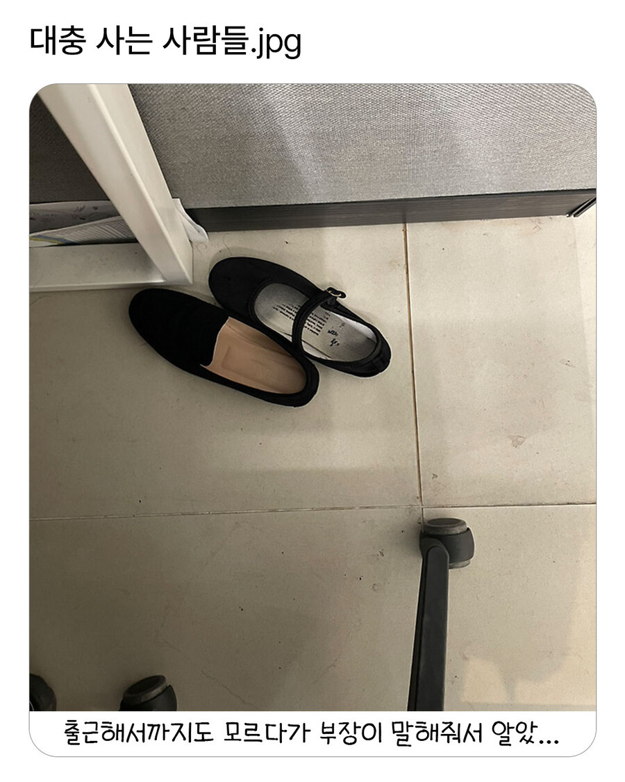 대충 사는 사람들.jpg_1.jpg