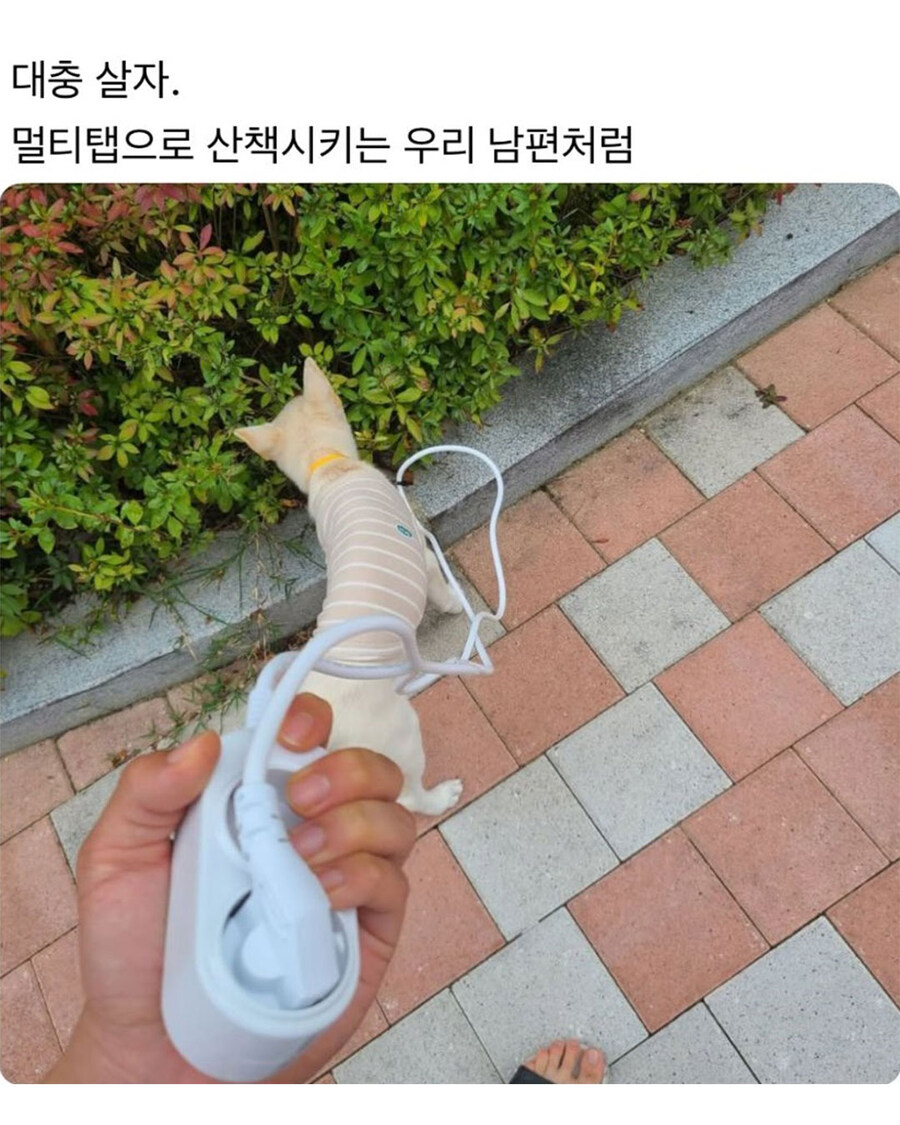 대충 사는 사람들.jpg_4.jpg