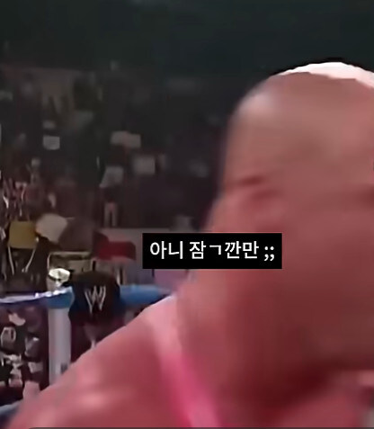 미국인들이 WWE에 열광하는 이유_17.jpg