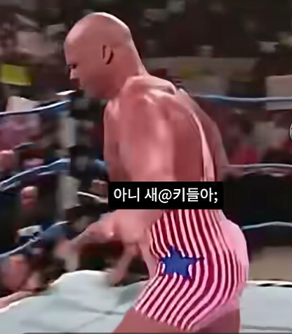 미국인들이 WWE에 열광하는 이유_27.jpg