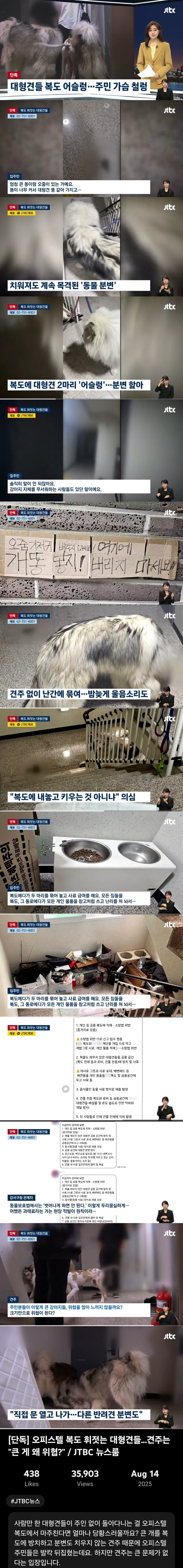 복도 휘젓는 대형견들..견주는